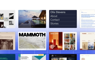 25 Types of Websites You Can Create With WordPress